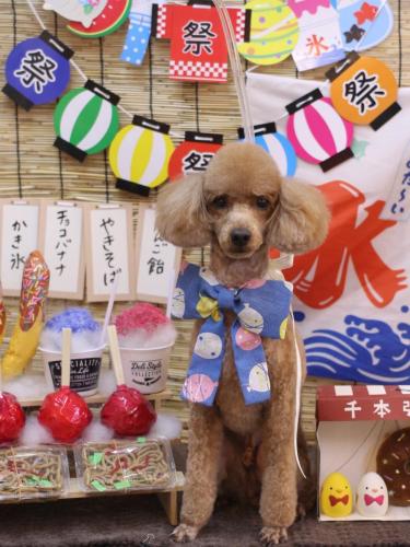 20240711カイくん